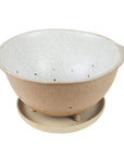 Colander & Plate - White garden to table