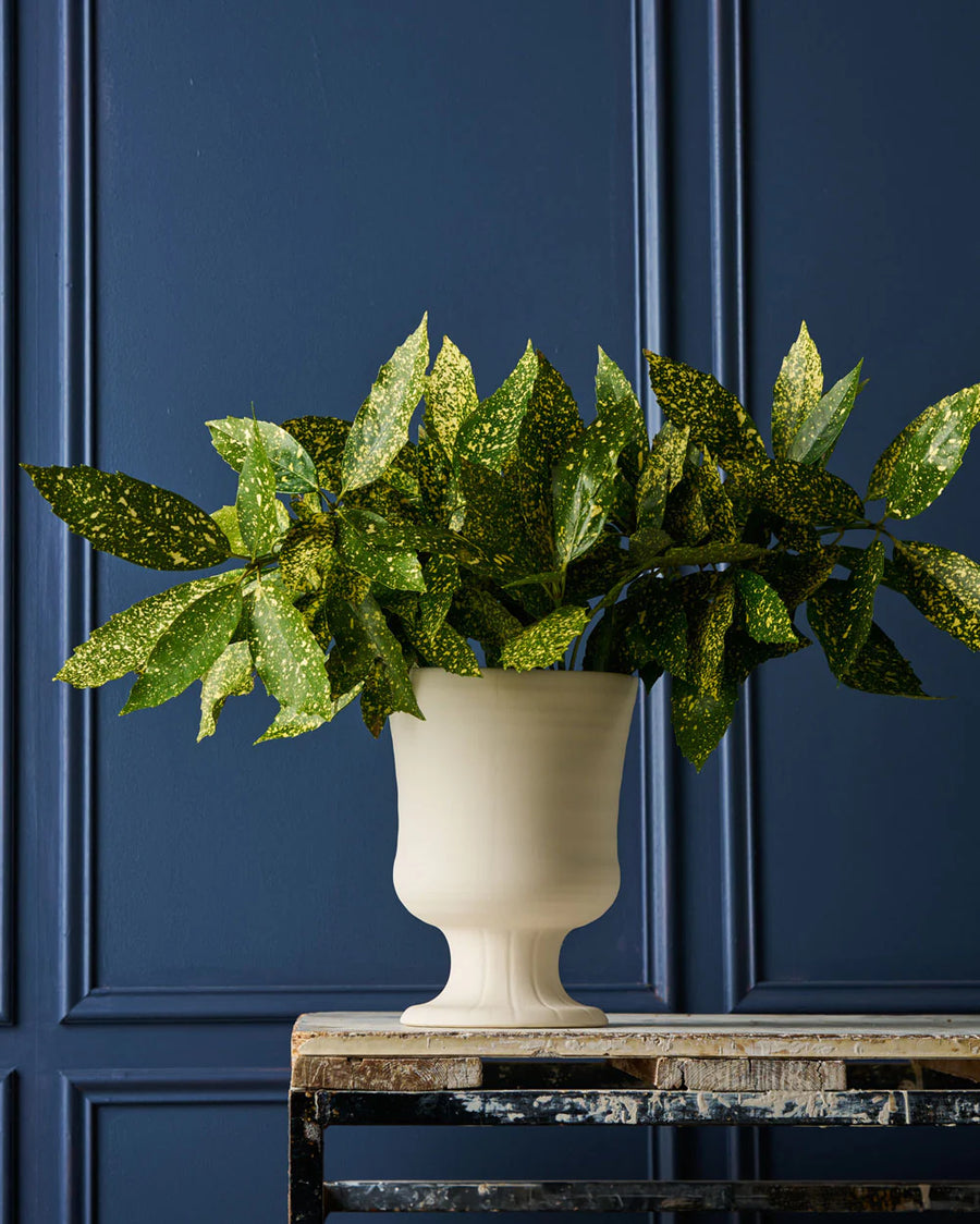 Devon Vase / Trophy Life