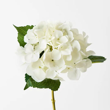 hydrangea white 63cm