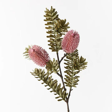 Banksia Spray- Dark Pink 71cm