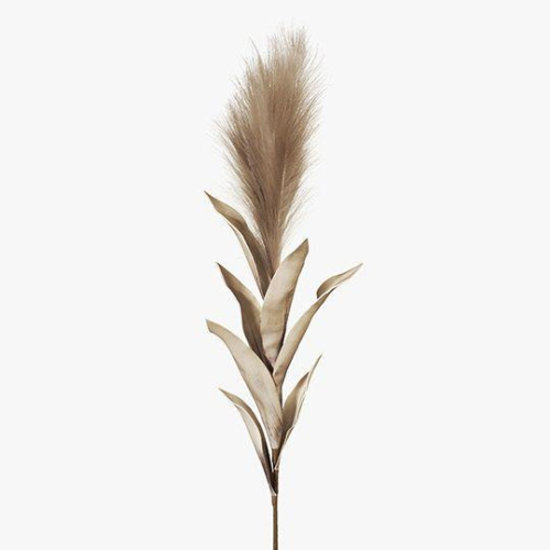 Pampas Grass With Leaf - coffee