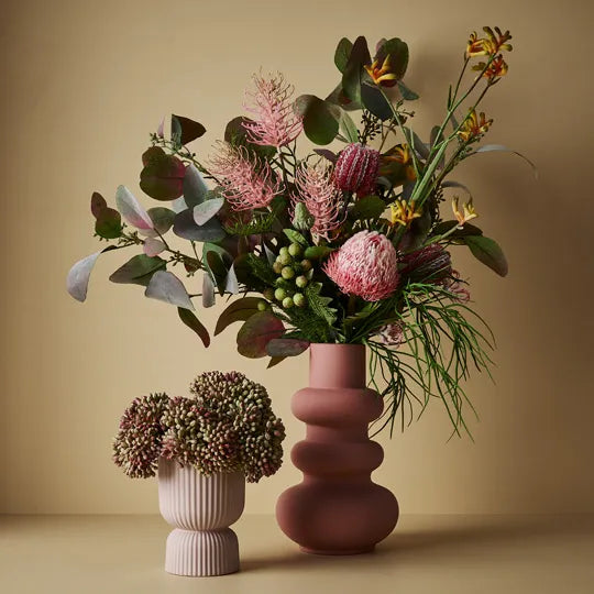 Acorn Banksia - Pink