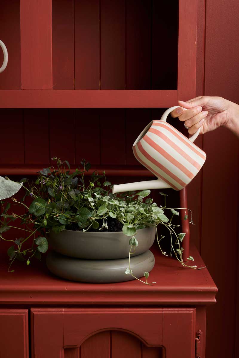 Plant Parent Watering Can