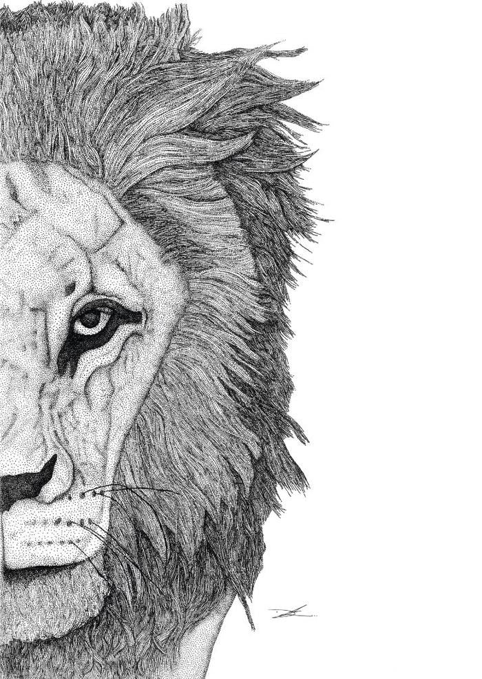 Leo The Lion - HartCo. Home & Body