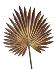 Palm Fan - 66cm