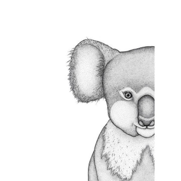 Kerry The Koala