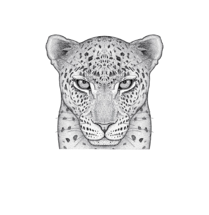 Luca The Leopard - Full Face