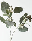 Eucalyptus Tetragona Spray - 61cm